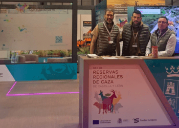 Subastasdecaza